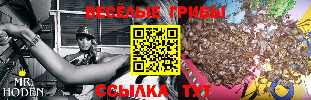 Псилоцибиновые грибы мухоморы Железноводск