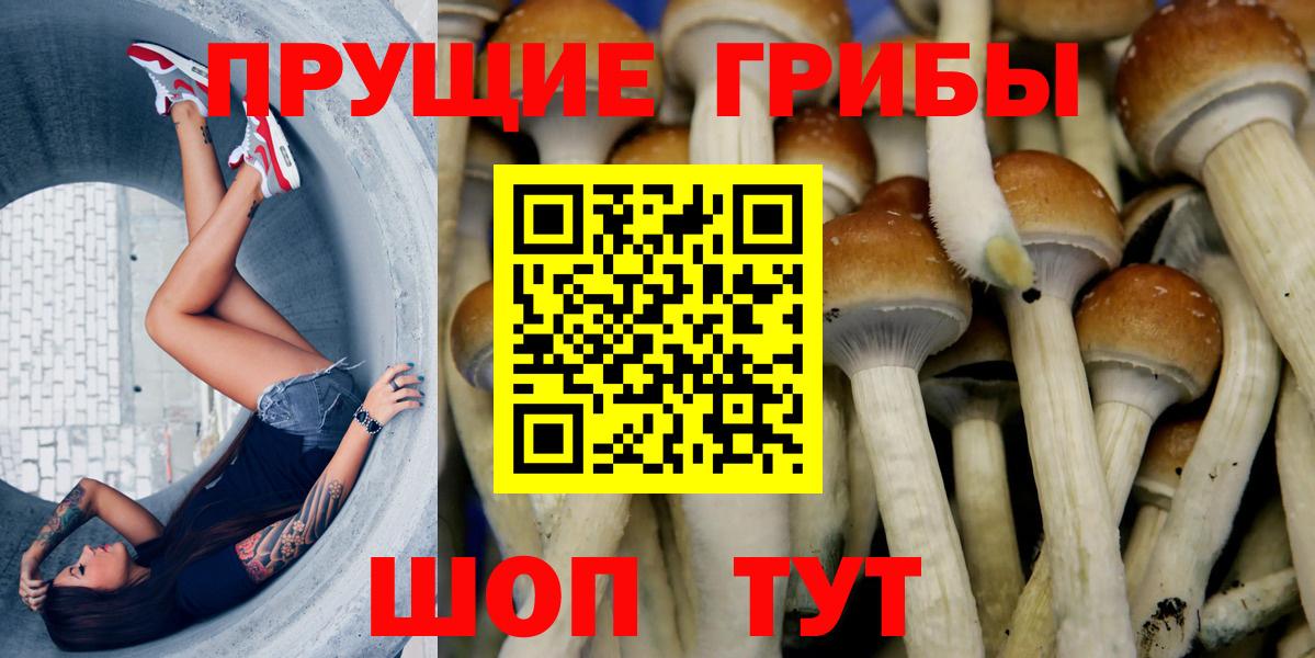 Псилоцибиновые грибы Psilocybe  Галлюциногенные грибы мухоморы  Железноводск  Вход с VPN 